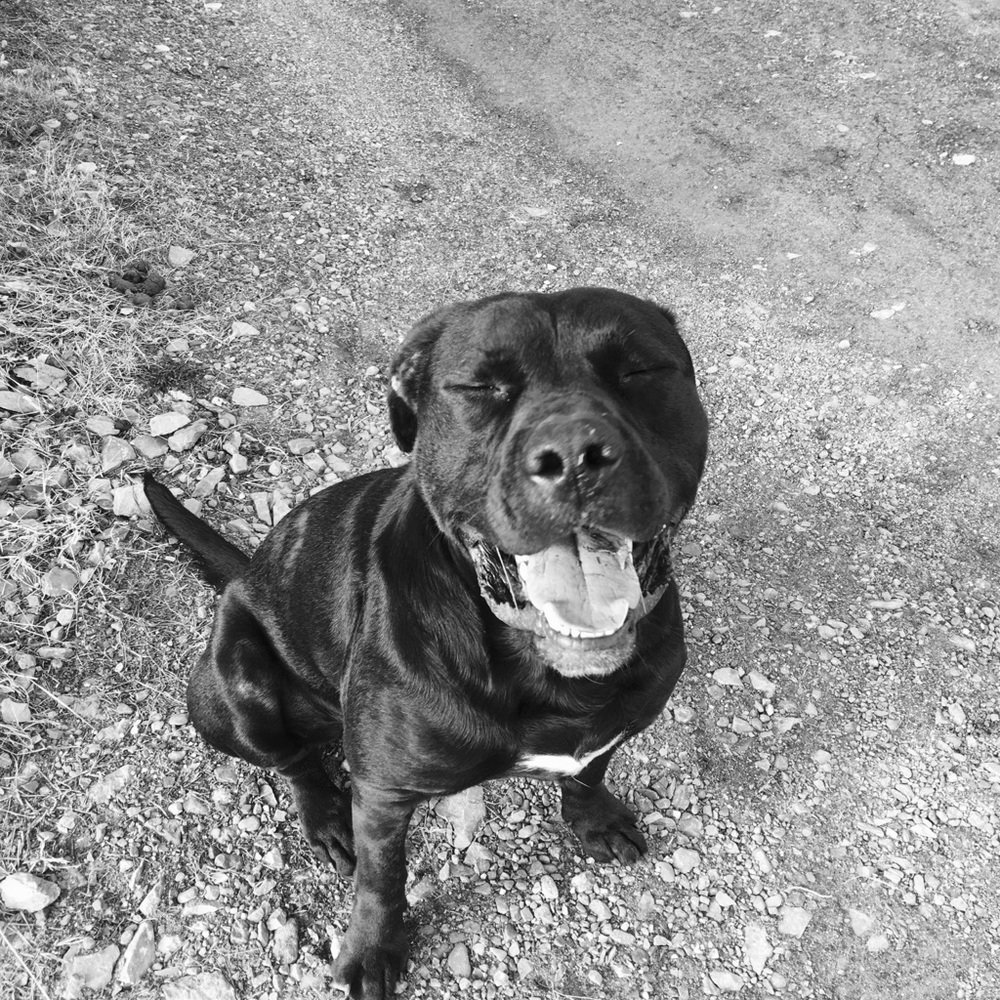 Meet your Posher, Brianna